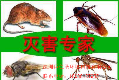 物業(yè)寫(xiě)字樓學(xué)校醫(yī)院殺蟲(chóng)除四害首選巨仁圣