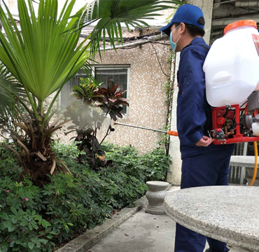 園林有害生物消殺