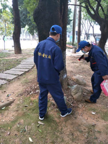 深圳殺臭蟲(chóng)公司